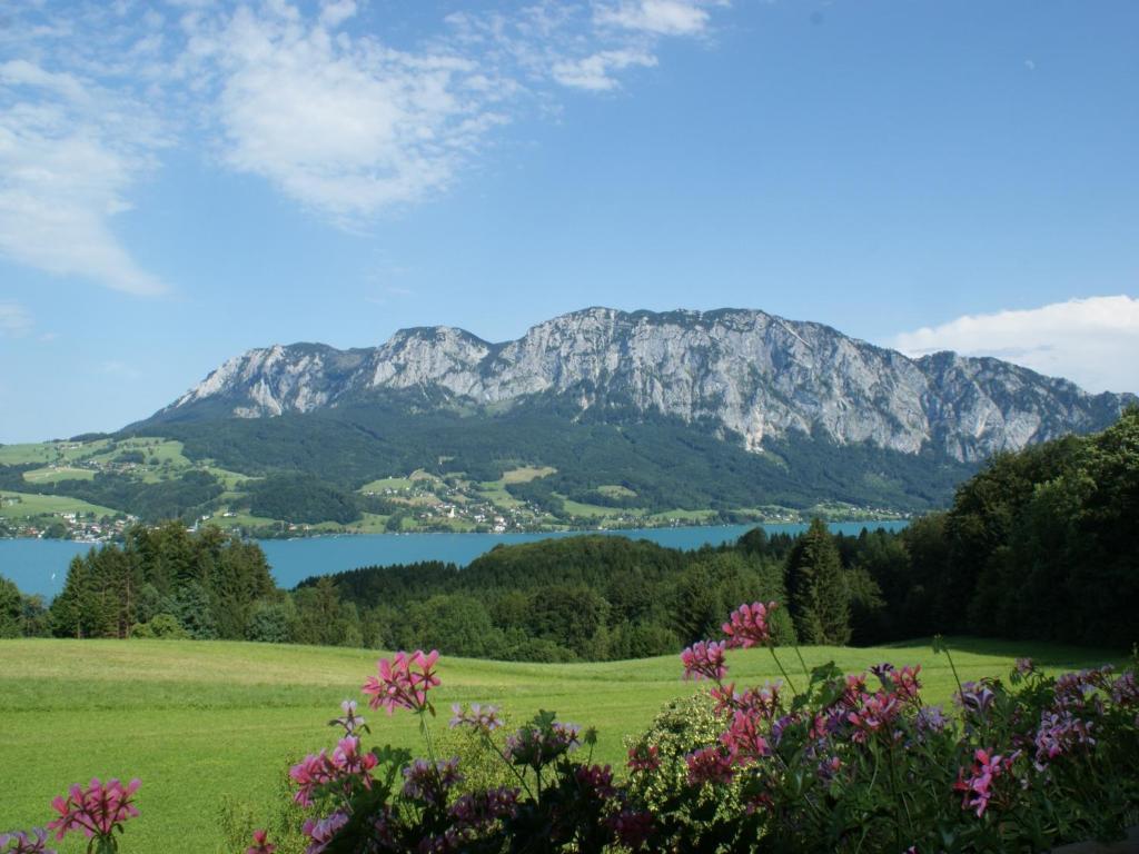 Biobauernhof Nussbaumer Nussdorf am Attersee Exterior photo